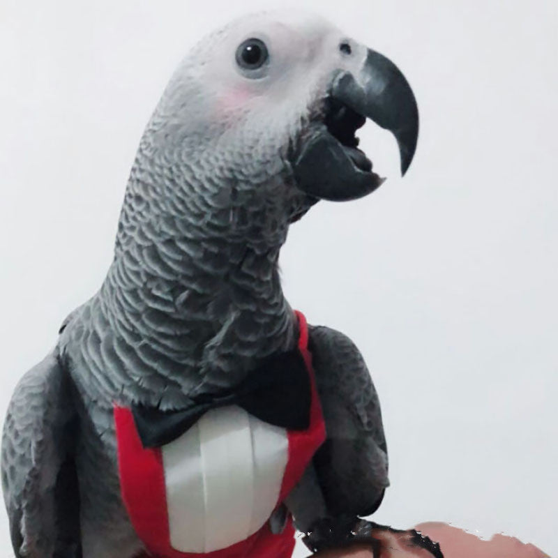 Parrot Flying Suit Clothes